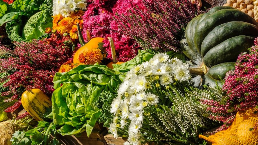 I Benefici della Nutrizione Vegetale